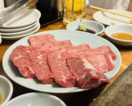 Dinner at Sumibiyakiniku Horumon Sawaishi