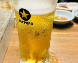Dinner at Sumibiyakiniku Horumon Sawaishi