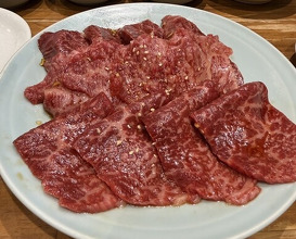 Dinner at Sumibiyakiniku Horumon Sawaishi