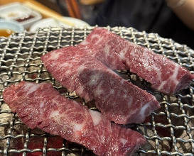 Dinner at Sumibiyakiniku Horumon Sawaishi
