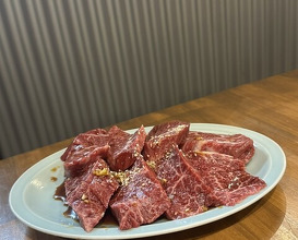 Dinner at Sumibiyakiniku Horumon Sawaishi