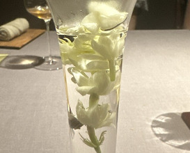 Dinner at Sazenka