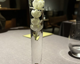 Dinner at Sazenka