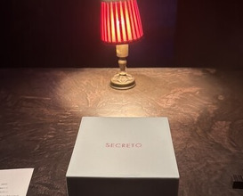 Dinner at SECRETO (SECRETO)