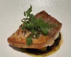Dinner at SECRETO (SECRETO)