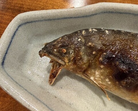 Dinner at Seirin (勢麟)