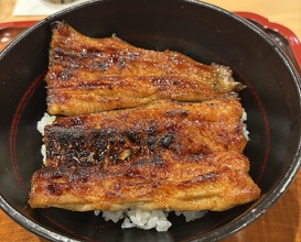Dinner at Seirin (勢麟)