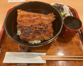 Dinner at Seirin (勢麟)