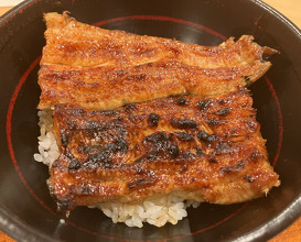 Dinner at Seirin (勢麟)