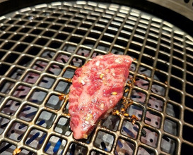 Dinner at Yakiniku Seiryuuen (焼肉 静龍苑)