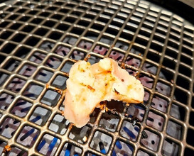 Dinner at Yakiniku Seiryuuen (焼肉 静龍苑)