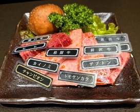 Dinner at Yakiniku Seiryuuen (焼肉 静龍苑)