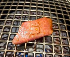 Dinner at Yakiniku Seiryuuen (焼肉 静龍苑)