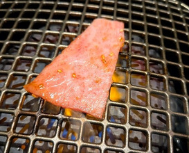 Dinner at Yakiniku Seiryuuen (焼肉 静龍苑)