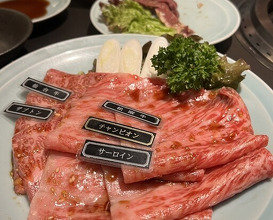 Dinner at Yakiniku Seiryuuen (焼肉 静龍苑)