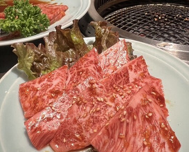 Dinner at Yakiniku Seiryuuen (焼肉 静龍苑)