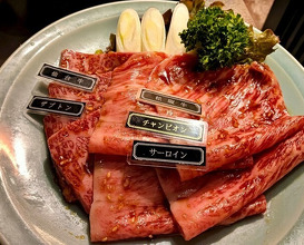 Dinner at Yakiniku Seiryuuen (焼肉 静龍苑)