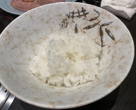 Dinner at Yakiniku Seiryuuen (焼肉 静龍苑)