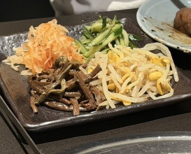 Dinner at Yakiniku Seiryuuen (焼肉 静龍苑)