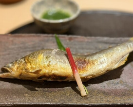 Dinner at Shimbashi Hoshino (新ばし 星野)