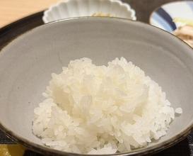Dinner at Shimbashi Hoshino (新ばし 星野)