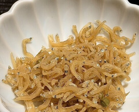 Dinner at Shimbashi Hoshino (新ばし 星野)