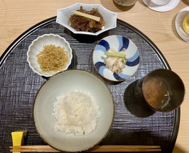 Dinner at Shimbashi Hoshino (新ばし 星野)