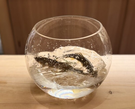 Dinner at Syumokuchou Shimizu