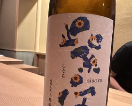 Dinner at Japanese cuisine Shin Chaya (日本料理 新茶家)
