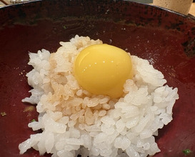 Dinner at Japanese cuisine Shin Chaya (日本料理 新茶家)