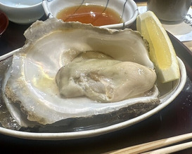 Dinner at Tempura Shoshin An (天ぷら 正心庵)