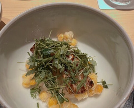 Dinner at Sushi shota (Sapporo)