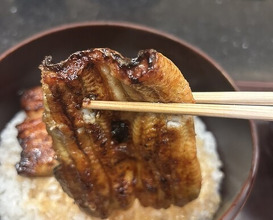 Dinner at Shun (瞬)