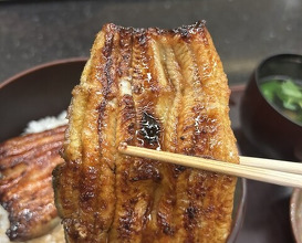 Dinner at Shun (瞬)