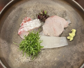 Dinner at Shutei Tanaka