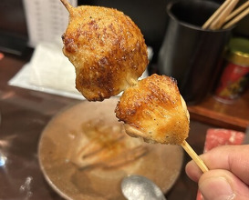 Dinner at Shutei Tanaka