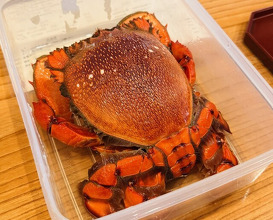 Dinner at Shizen Muku An (召膳 無苦庵)