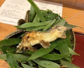 Dinner at Shizen Muku An (召膳 無苦庵)