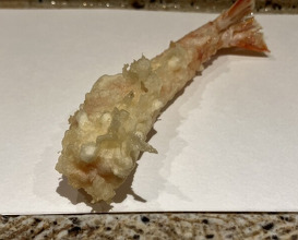 Dinner at Nihonbashi Sonoji (日本橋 蕎ノ字)