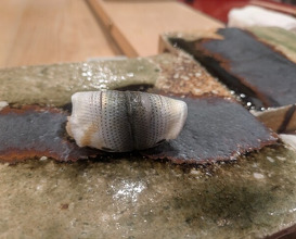 Dinner at Edo Machi Sugimoto (江戸町 すぎもと)
