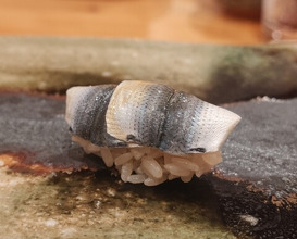 Dinner at Edo Machi Sugimoto (江戸町 すぎもと)