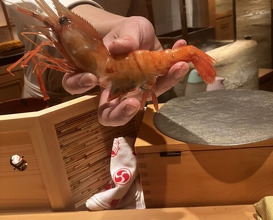 Dinner at Sushi Ei (寿司栄)