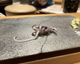 Dinner at Sushi Ei (寿司栄)