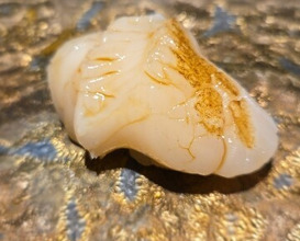 Dinner at Sushi no Kura (鮨ノ蔵)