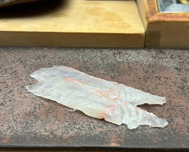 Dinner at Sushi Sho Yotsuya