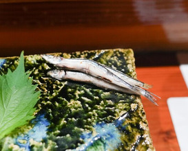 Dinner at Sushi Sho Nomura (鮨匠 のむら)