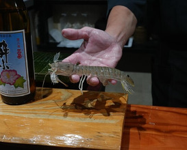 Dinner at Sushi Sho Nomura (鮨匠 のむら)