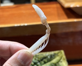 Dinner at Sushi Sho Nomura (鮨匠 のむら)