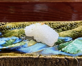 Dinner at Sushi Sho Nomura (鮨匠 のむら)