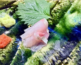 Dinner at Sushi Sho Nomura (鮨匠 のむら)